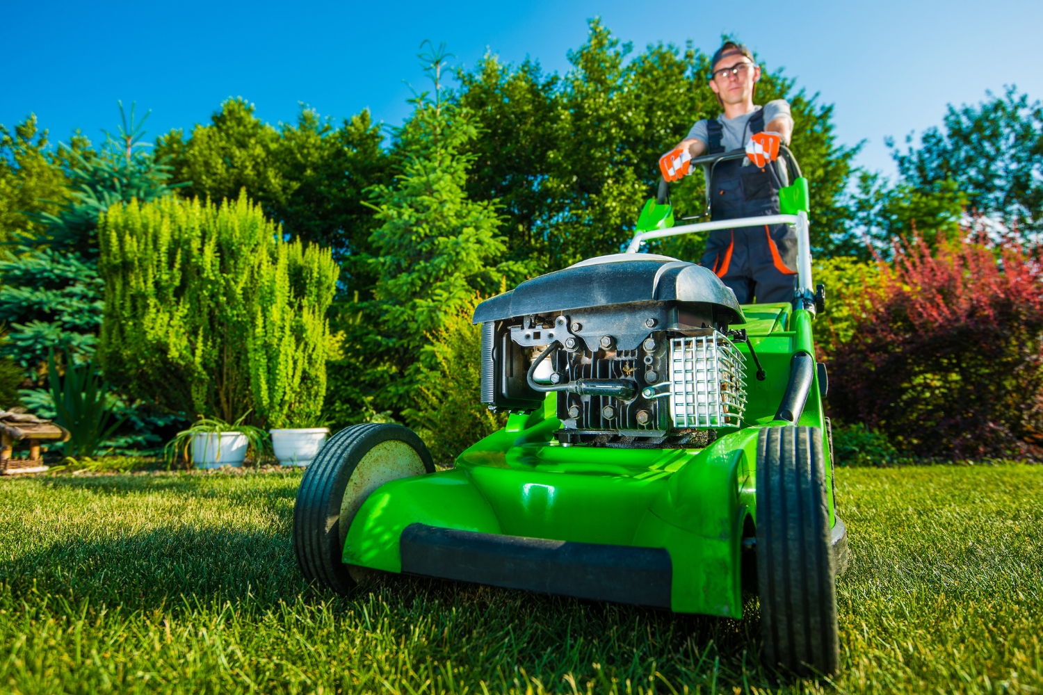 Professional Landscaping Services Professional Landscaping Services